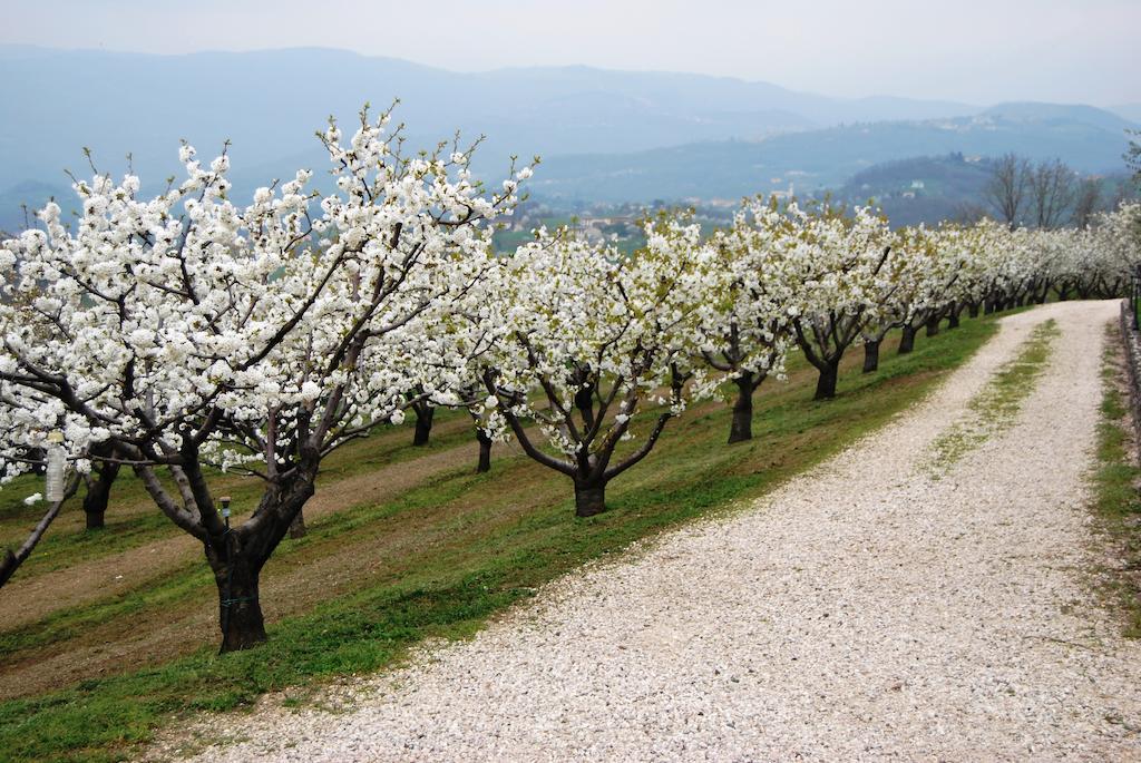 Tenuta Fortelongo Fara Vicentino エクステリア 写真