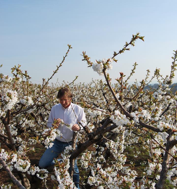 Tenuta Fortelongo Fara Vicentino エクステリア 写真