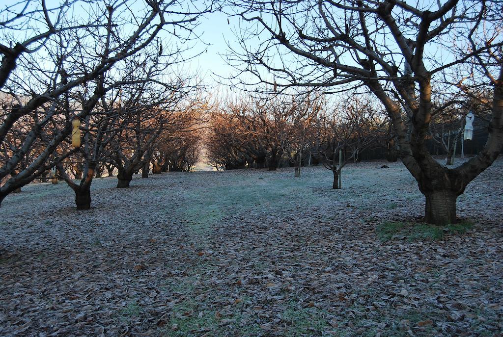 Tenuta Fortelongo Fara Vicentino エクステリア 写真