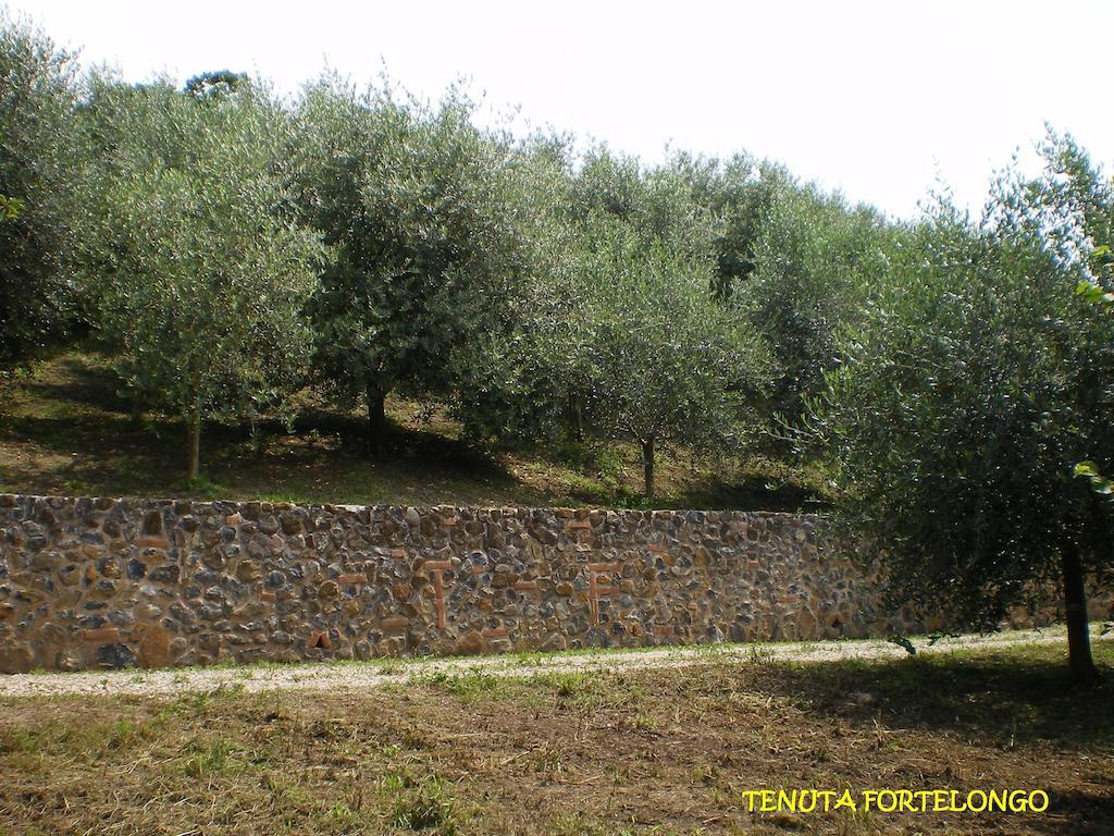 Tenuta Fortelongo Fara Vicentino エクステリア 写真