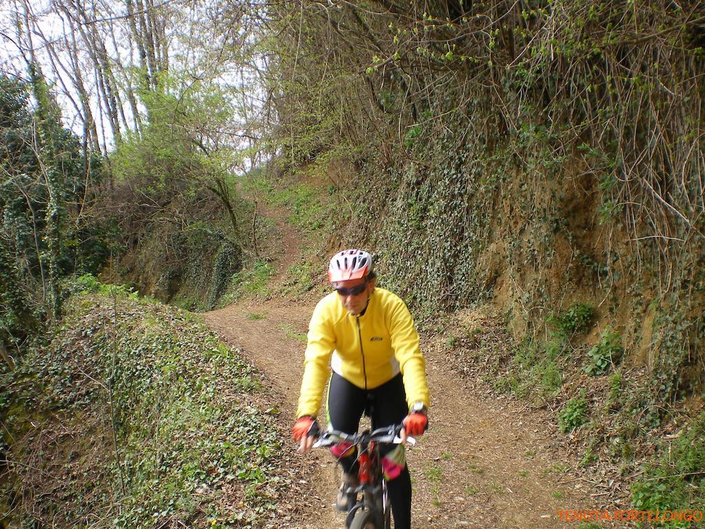 Tenuta Fortelongo Fara Vicentino エクステリア 写真