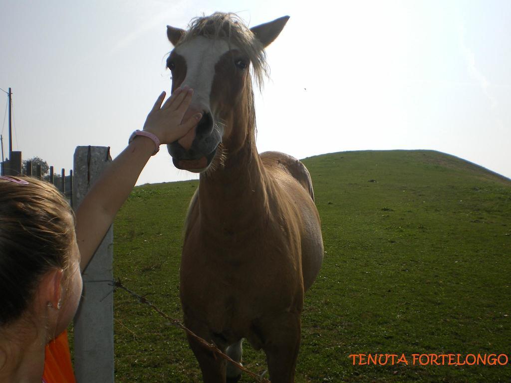 Tenuta Fortelongo Fara Vicentino エクステリア 写真